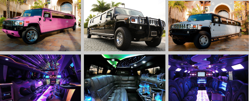 birthday limo service west palm beach