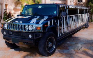 zebra hummer limo West Palm Beach